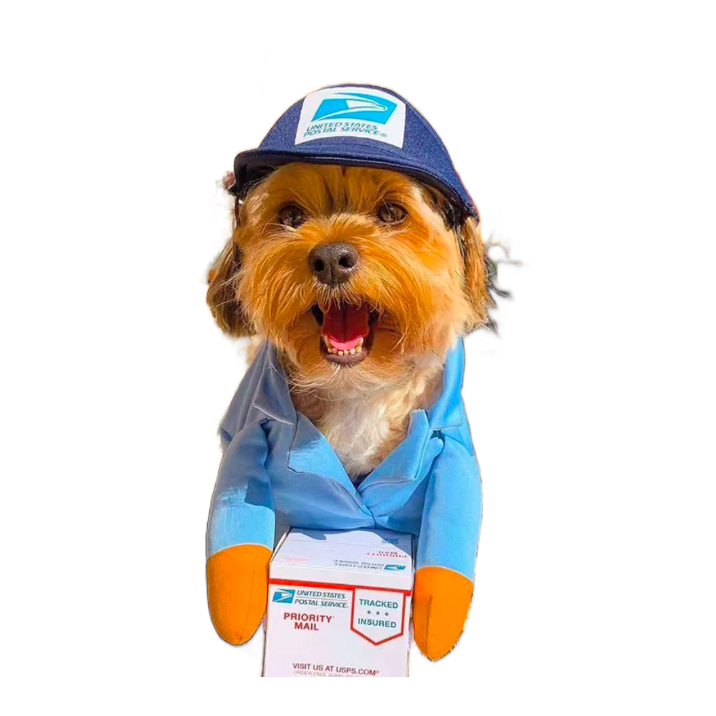 Delivery Pup Suit blue - dog mail carrier costume with parcel